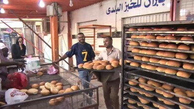 أسعار الخبز