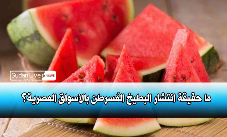 ما حقيقة انتشار البطيخ المُسرطن بالأسواق المصرية؟ 1 ٢٠٢١٠٥١٧ ١٦٣٨١٦