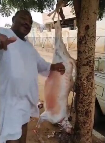 البربري (أنا الفنان الجزار) 1 IMG 20210725 WA0104