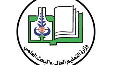 التعليم العالي