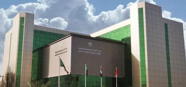 المحاجر تؤكد تصدير الماشية إلى المملكة العربية السعودية 1 FB IMG 1649599676396