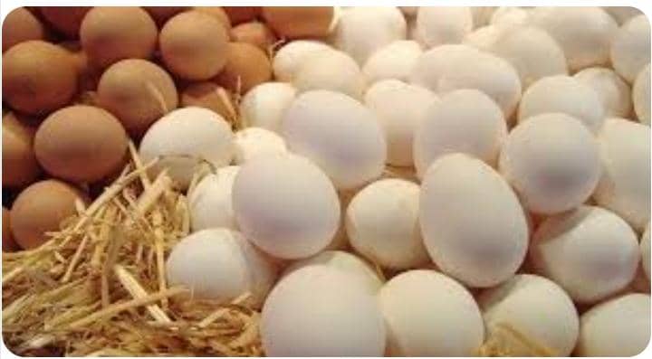 اسعار فلكية للبيض في السودان ودعوات لمقاطعة شراءه