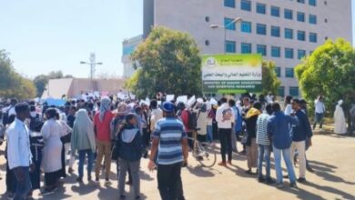 وزارة التعليم العالي
