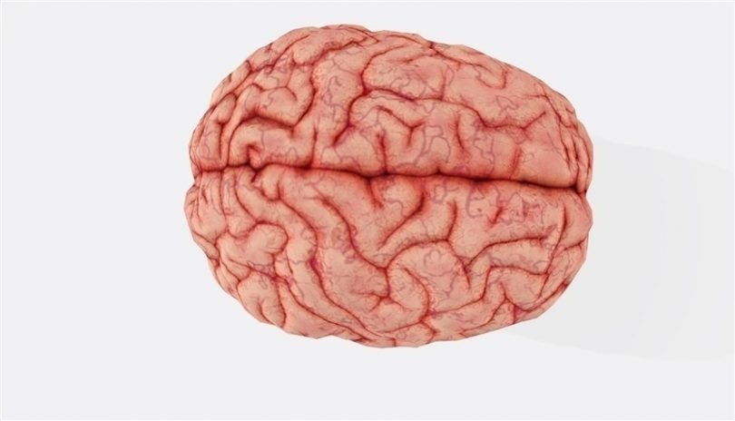 202334194437593H7 810x464 1