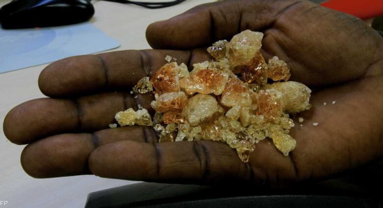 أهم سلعة سودانية تدفع ثمن الأزمة.. بيبسي وكوكاكولا في ورطة 1 1 1616377 810x425 1