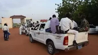 ولاية الجزيرة