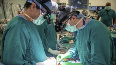 'Restored' heart relocate technique could save great many lives, increment giver hearts