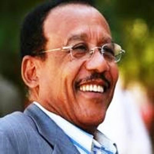السودان: من قتال المدن إلى مصارعة المنظمة الأممية