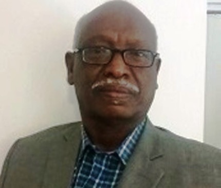 الأحزاب السودانية غياب فكرة أم حالة ضعف 1 IMG 0773
