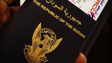 الجواز الالكتروني