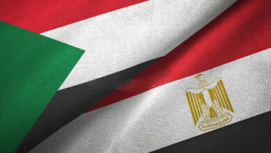 الخارجية المصرية