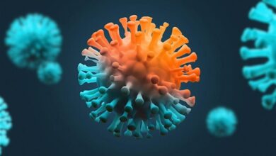 سلالة بيرولا