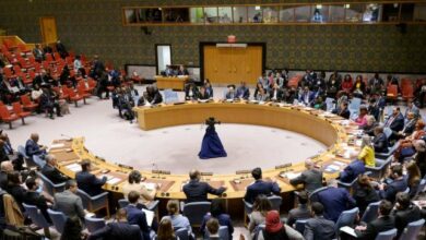 مجلس الأمن الدولي