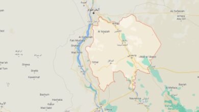ولاية الجزيرة