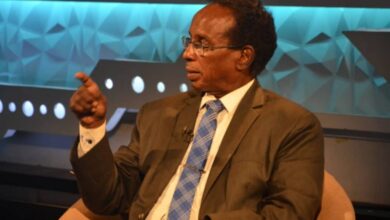 عثمان ميرغني