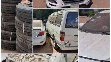 مسروقات