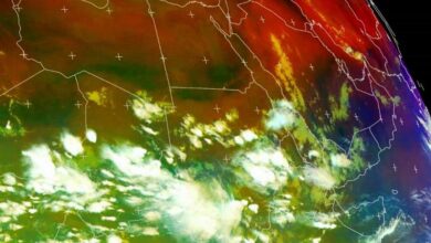 الشبورة المائية والطقس شديد البرودة في مصر