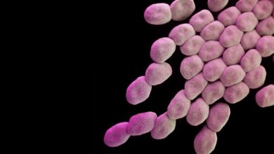 علماء ألمان