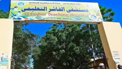 هجوم عنيف على مدينة الفاشر.. هل اقتربت النهاية؟ تفاصيل المعركة والنازحين!