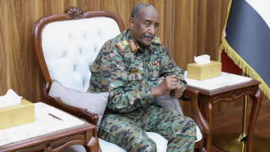 مسلحون من تنظيم الدولة يقاتلون مع قوات الدعم السريع