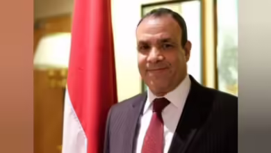 وزير الخارجية المصري يعرض طرق حل الأزمة