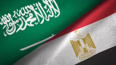 مباحثات سعودية مصرية