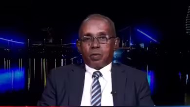 الصحفي عثمان ميرغني