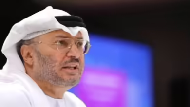 المستشار الدبلوماسي لرئيس دولة الإمارات