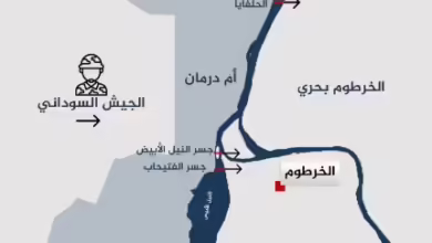 الطيران