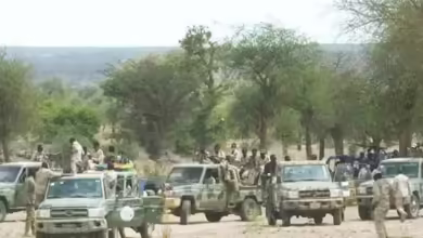 الدعم السريع