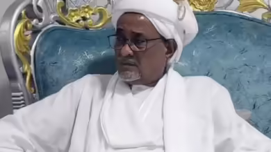 إبراهيم محمود