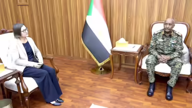 الصليب الأحمر