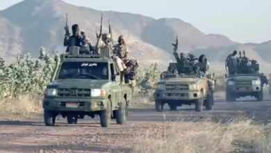 أنظمة أسلحة فرنسية