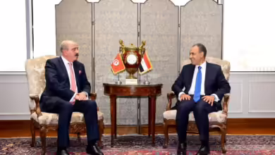 وزيرا خارجية مصر وتونس