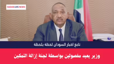 وزير يعيد مفصولين بواسطة لجنة إزالة التمكين