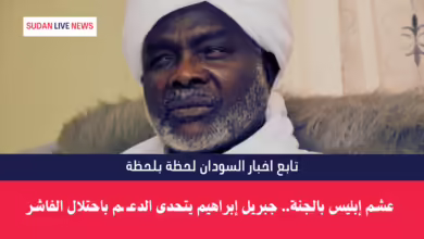 جبريل إبراهيم