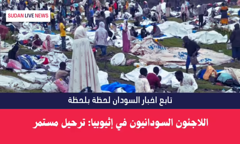 اللاجئون السودانيون في إثيوبيا: ترحيل مستمر 1 اللاجئون السودانيون