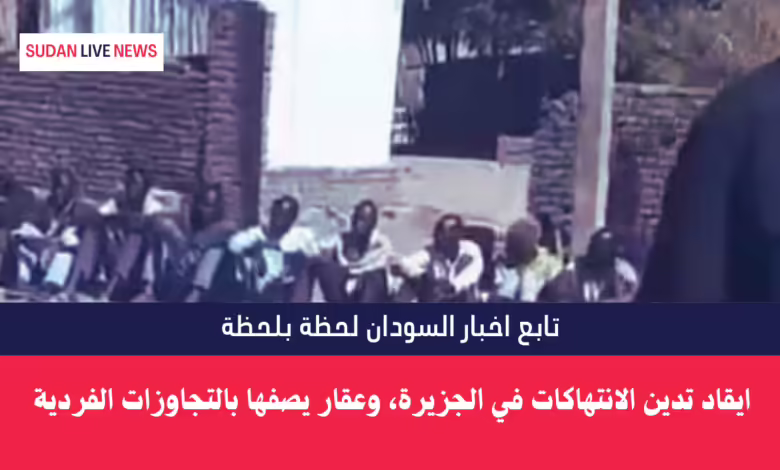 ايقاد تدين الانتهاكات في الجزيرة، وعقار يصفها بالتجاوزات الفردية 1 ايقاد تدين الانتهاكات في الجزيرة، وعقار يصفها بالتجاوزات الفردية