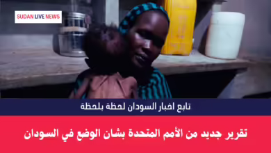 تقرير جديد من الأمم المتحدة بشان الوضع في السودان