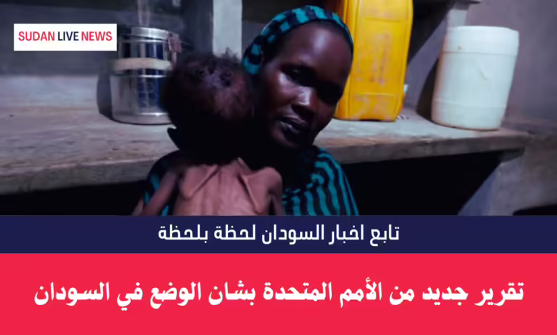 تقرير جديد من الأمم المتحدة بشان الوضع في السودان 1 تقرير جديد من الأمم المتحدة بشان الوضع في السودان
