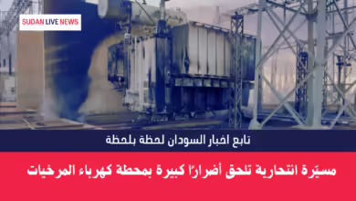 مسيّرة انتحارية تلحق أضرارًا كبيرة بمحطة كهرباء المرخيات