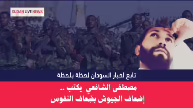 مصطفى الشافعي