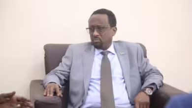 وزير الإعلام