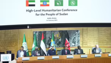 الامم المتحدة