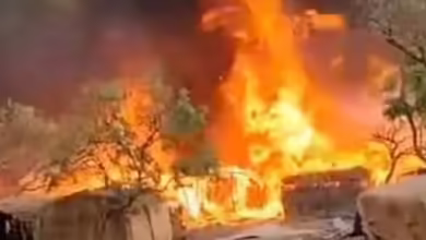 شمال دارفور