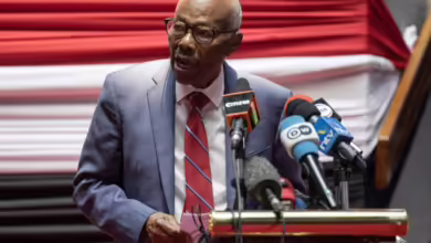 حزب الأمة القومي