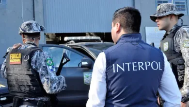 الإنتربول الدولي يضبط سيارات منهوبة من السودان