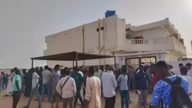 القنصلية المصرية