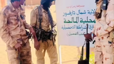 الدعم السريع تنشر ارتكازات في «المالحة» بعد السيطرة عليها