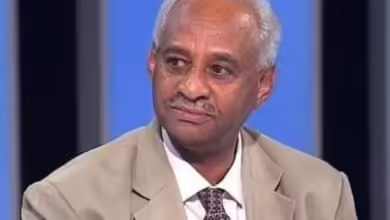 فيصل محمد صالح